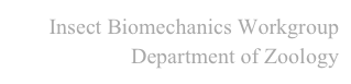 Insect Biomechanics Workgroup
Department of Zoology